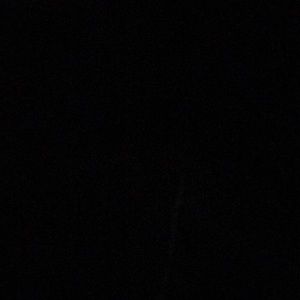 Meet your Posher, Abigail